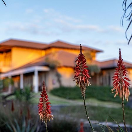 Blue Rain Guest House Bloemfontein Eksteriør bilde